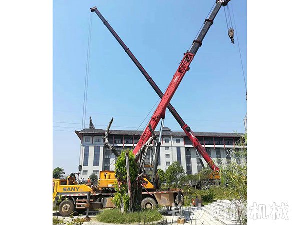 金州敬老院神像吊装