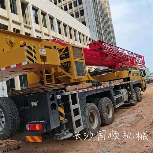 望城310项目线改