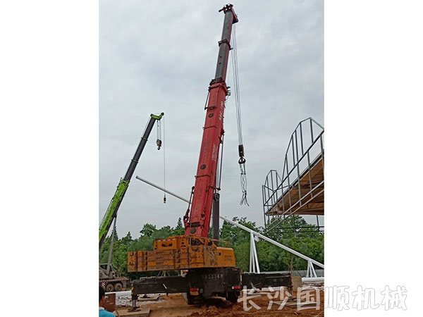 洋湖湿地公园网架安装