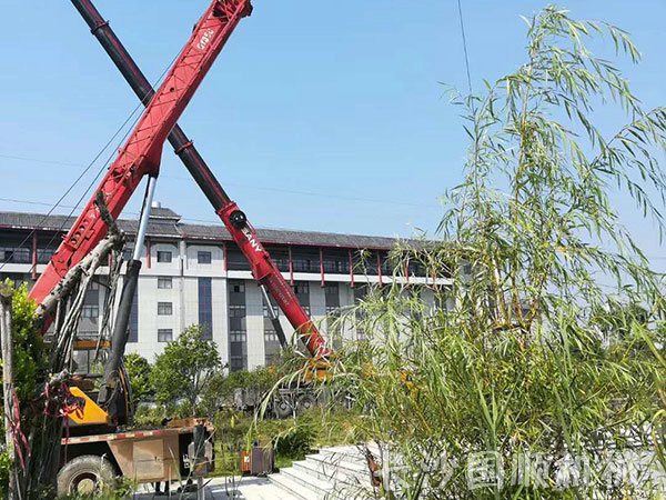 金州敬老院神像吊装