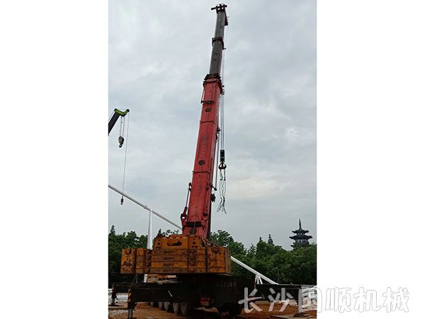 洋湖湿地公园网架安装