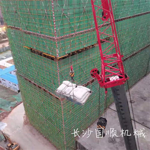 望城310项目线改