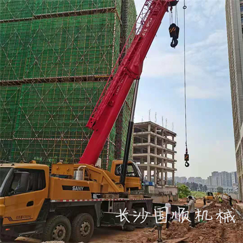 望城310项目线改