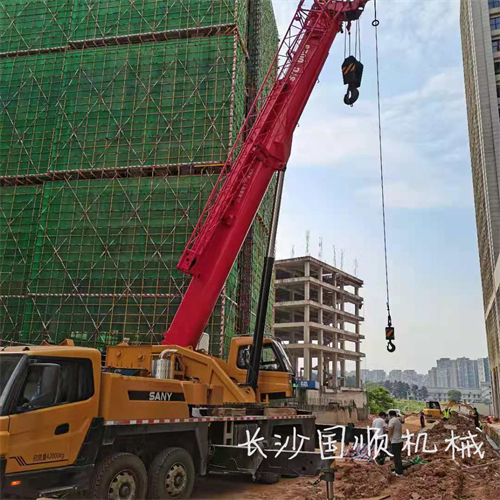 望城310项目线改