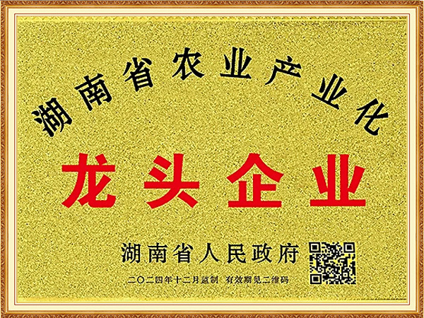 Provincial-leading-enterprise