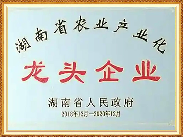 Provincial leading enterprise