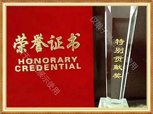 Special Contribution Award for Entrepreneurship Competition