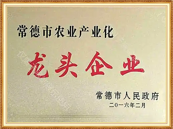 City level leading enterprise