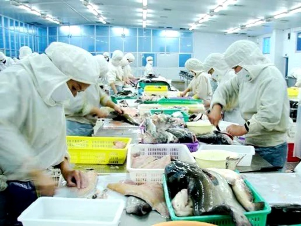 农产品加工 农产品加工