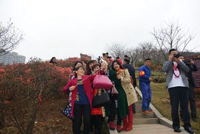 湖南省家具行业协会,家具行业协会,家具行业