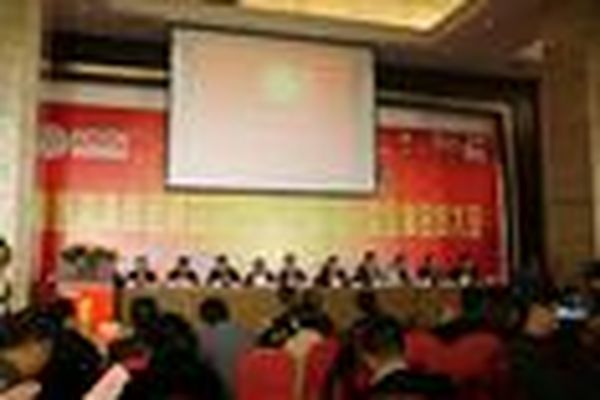 凝聚湘军   共谋发展-----赣州市南康湖南商会成立庆典顺利召开