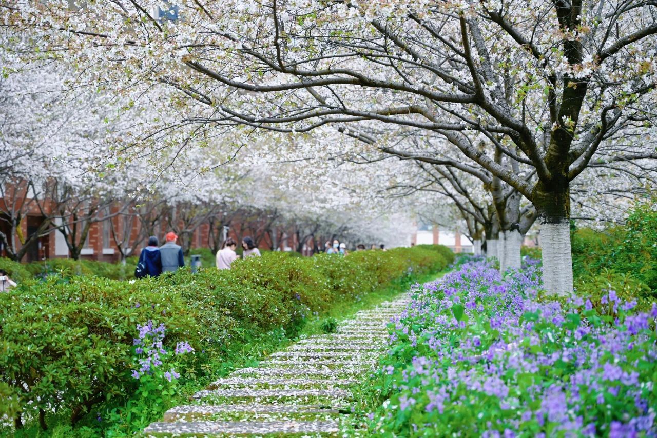 湖南省家具行业协会,家具行业协会,家具行业 湖南省家具行业协会,家具行业协会,家具行业