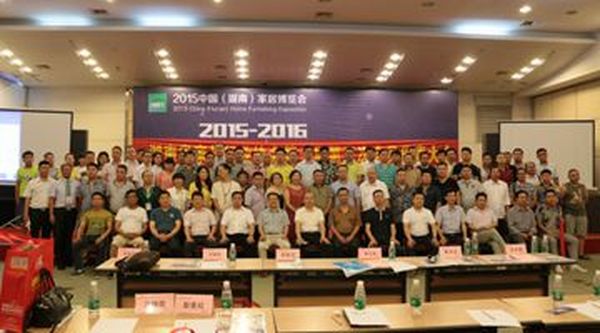 湖南家协一届第三次会员代表大会隆重召开