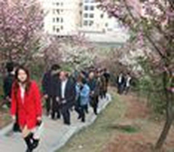 HNFA踏青联谊，不负春光不负卿