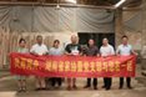 风雨同舟，湖南家协与您在一起（二）