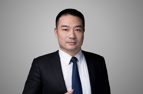 副会长刘莹女士