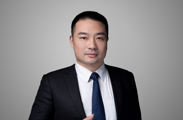 副会长刘莹女士