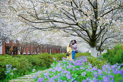 湖南省家具行业协会,家具行业协会,家具行业 湖南省家具行业协会,家具行业协会,家具行业