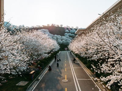 湖南省家具行业协会,家具行业协会,家具行业 湖南省家具行业协会,家具行业协会,家具行业