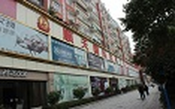 “湖南家协在行动“系列报道——怀化走访