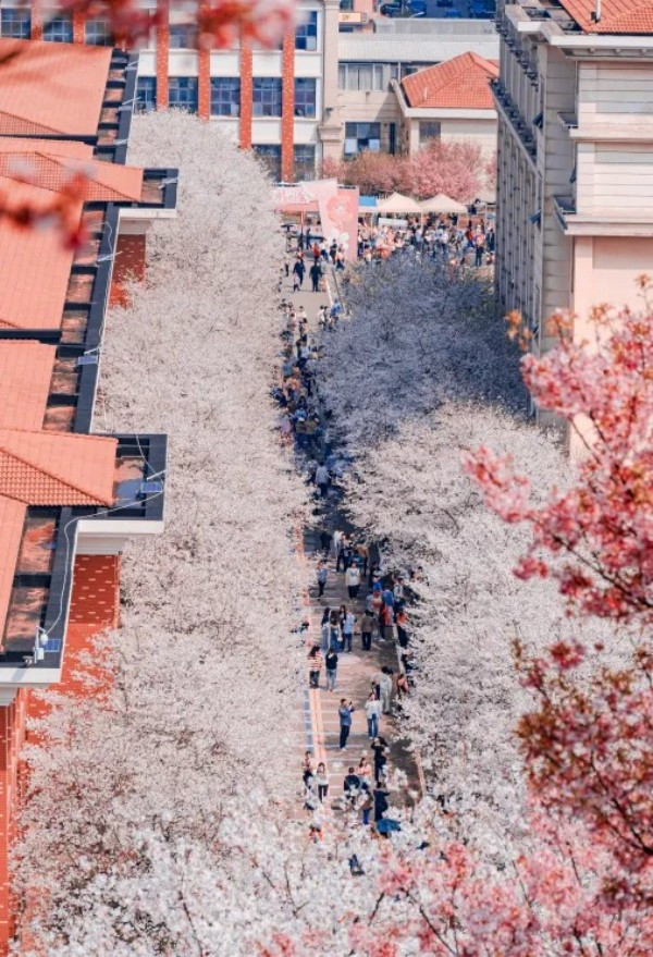 湖南省家具行业协会,家具行业协会,家具行业