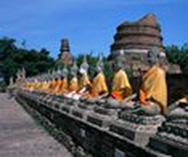 HNFA│赴越南经贸环境考察交流组团开始啦！