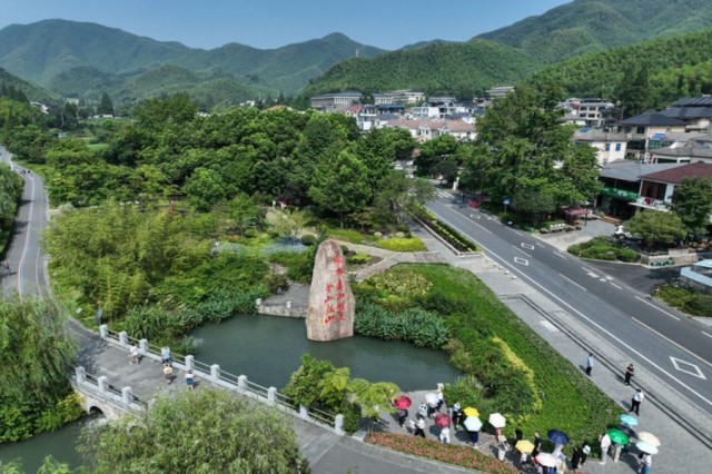 圖片 5 圖片 5