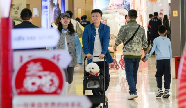 圖片 10 圖片 10