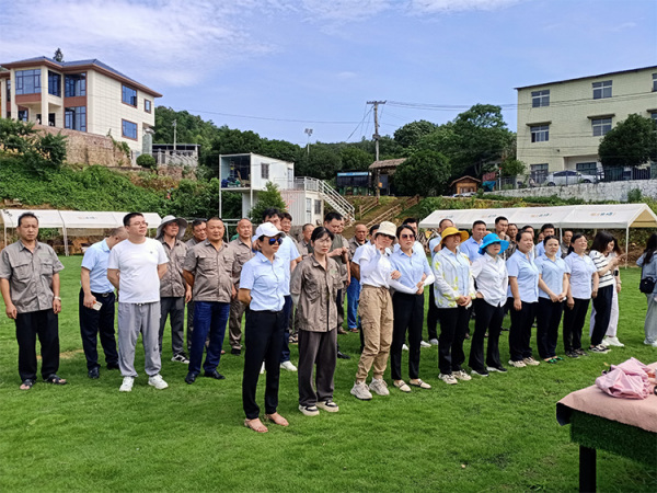 2024年户外拓展训练活动