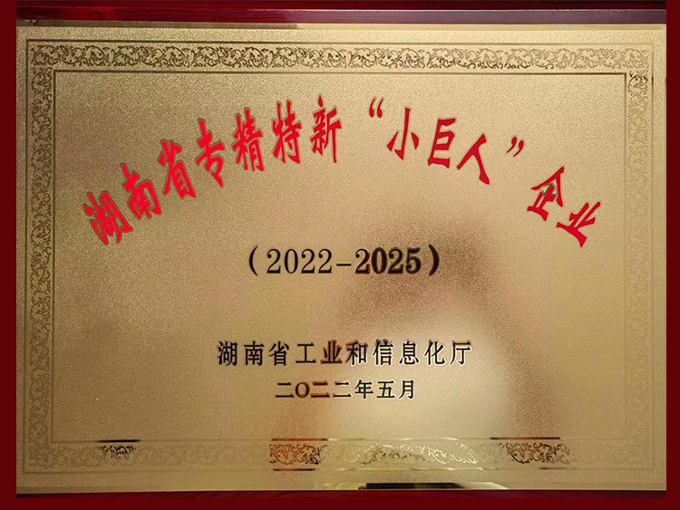 湖南省专精特新小巨人