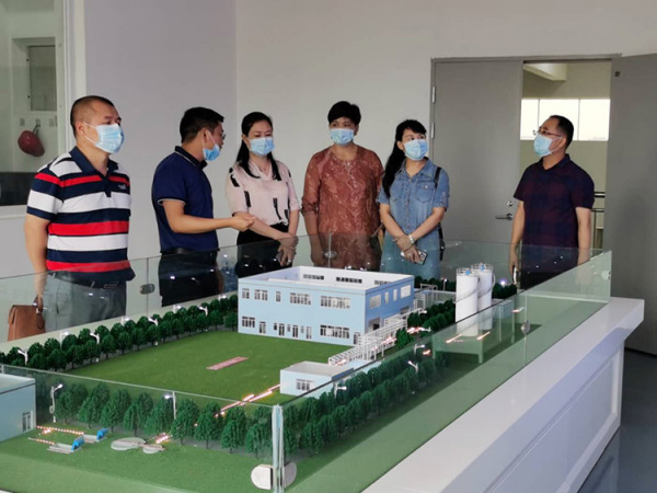 蔡滔区长等领导一行莅临公司考察指导工作