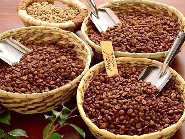 The functions of coffee seed oil