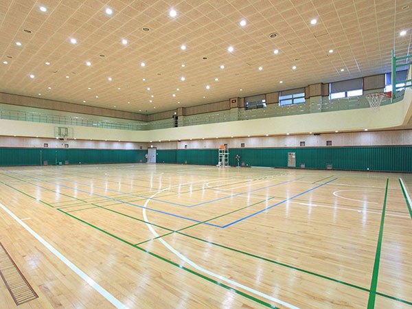 篮球馆木地板