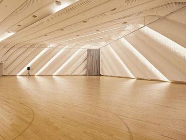 北京冬奥组委发布《北京2022无障碍指南》