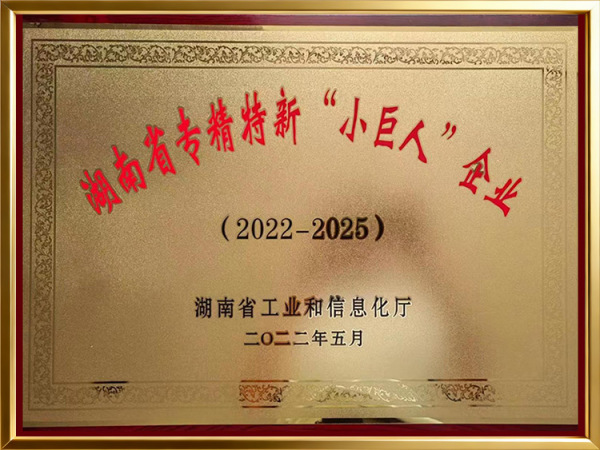 湖南省专精特新小巨人