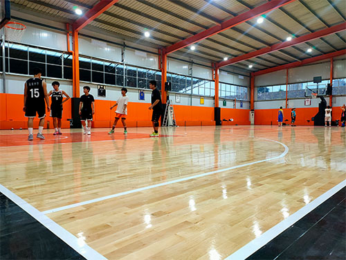 湖南德冠木业有限公司,德冠运动地板,跳跃者运动地板,篮球馆地板,舞台地板