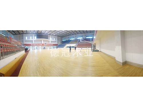 篮球馆1