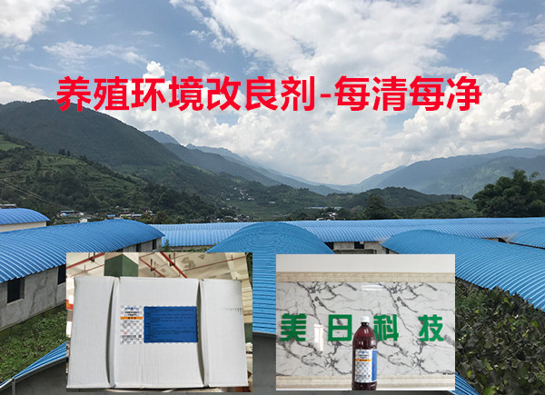 养殖环境改良剂-每清每净