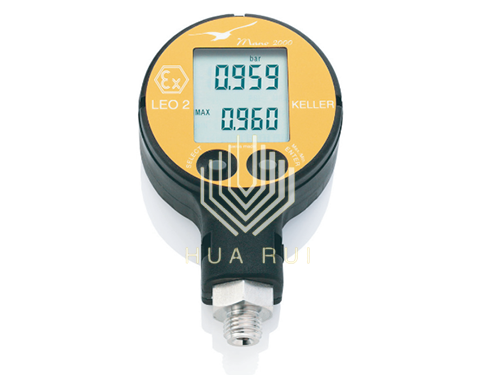 LEO2(EI)通用型数字压力表