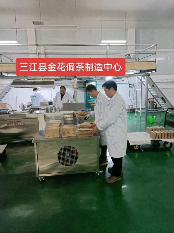 回访广西研发中心 (6)