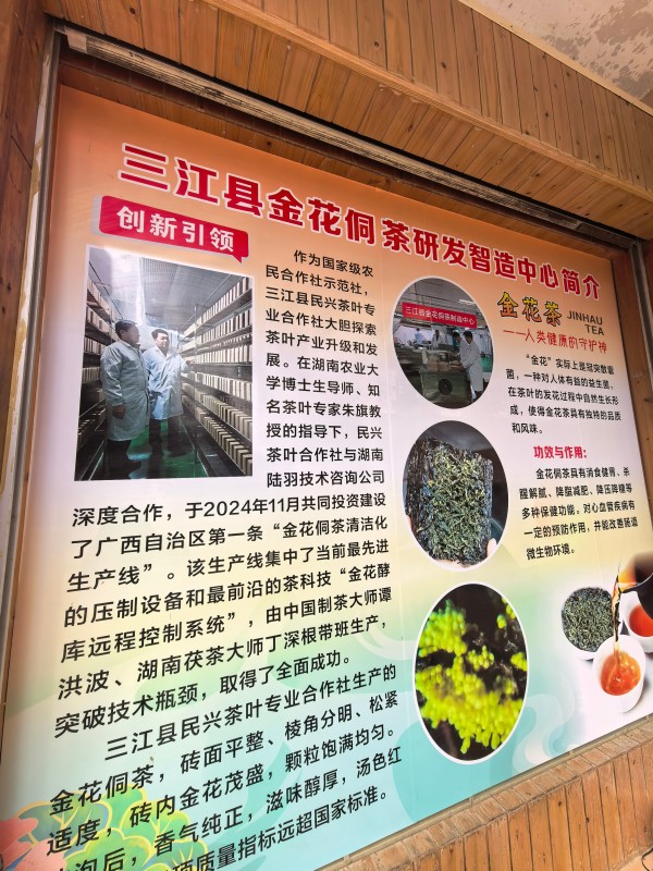 回访广西研发中心 (3)