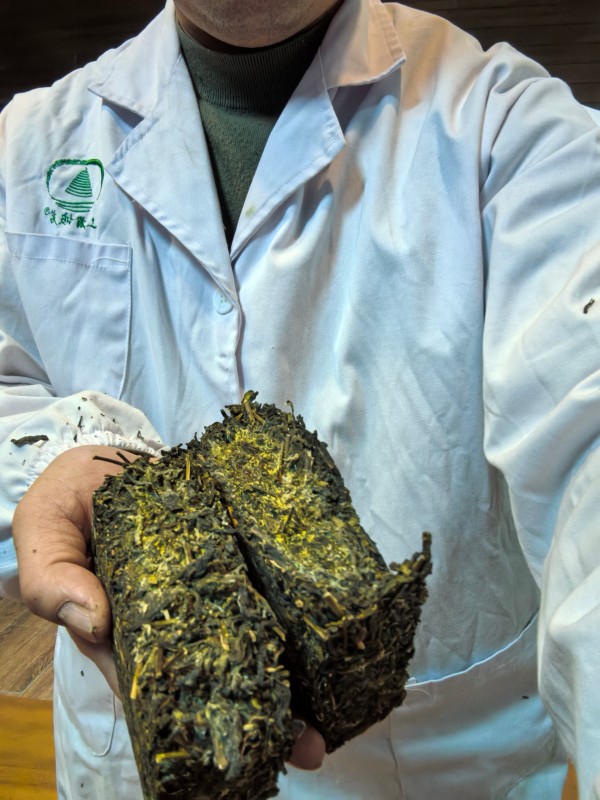 回访广西研发中心 (4)