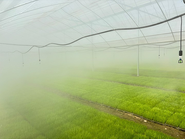 彌霧打藥系統(tǒng)