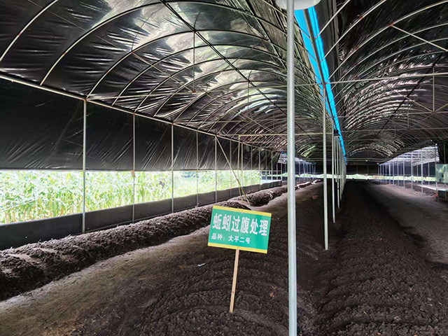 畜禽粪便无害化处理、资源化利用