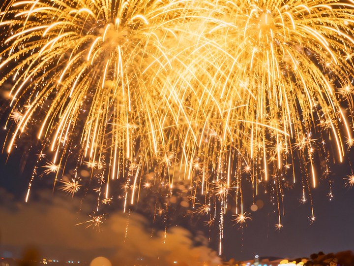 浏阳市信记烟花有限公司 (4)