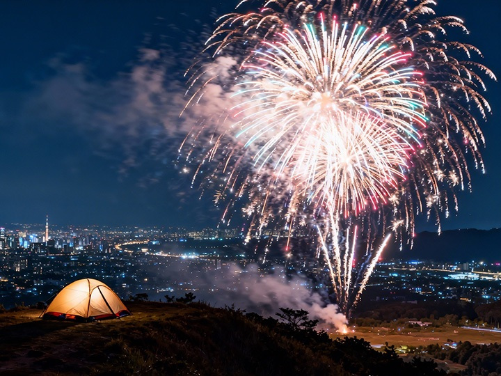浏阳市信记烟花有限公司 (7)