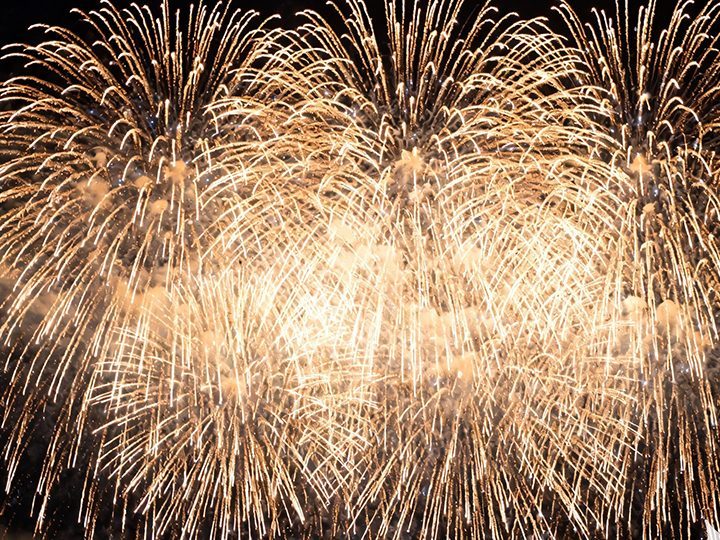 浏阳市信记烟花有限公司 (10)