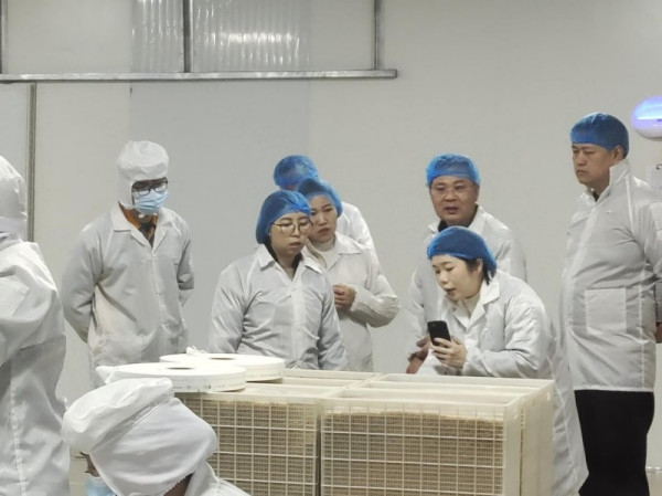 深化合作，共谋发展——日本伊滕忠商事株式会社代表团再次莅临恒裕考察