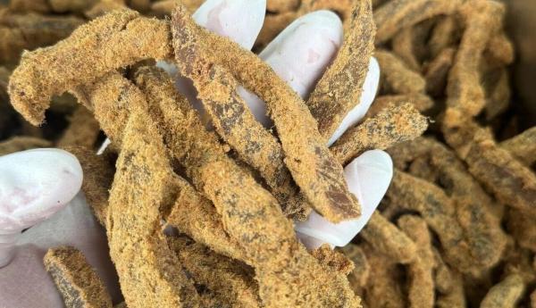 微信图片_2025-12-24_154358_318(1)