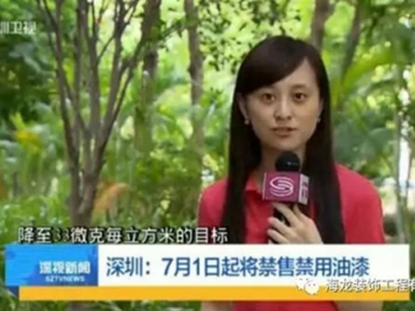 全面禁用油漆的政策